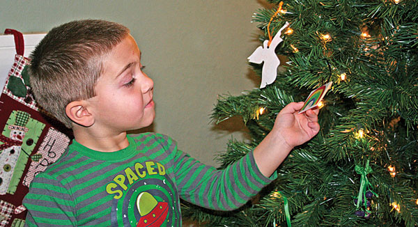 Jesse-tree-2-co