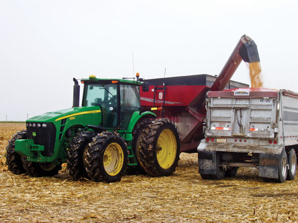 dl-CASS-Siera-Leone-harvest-