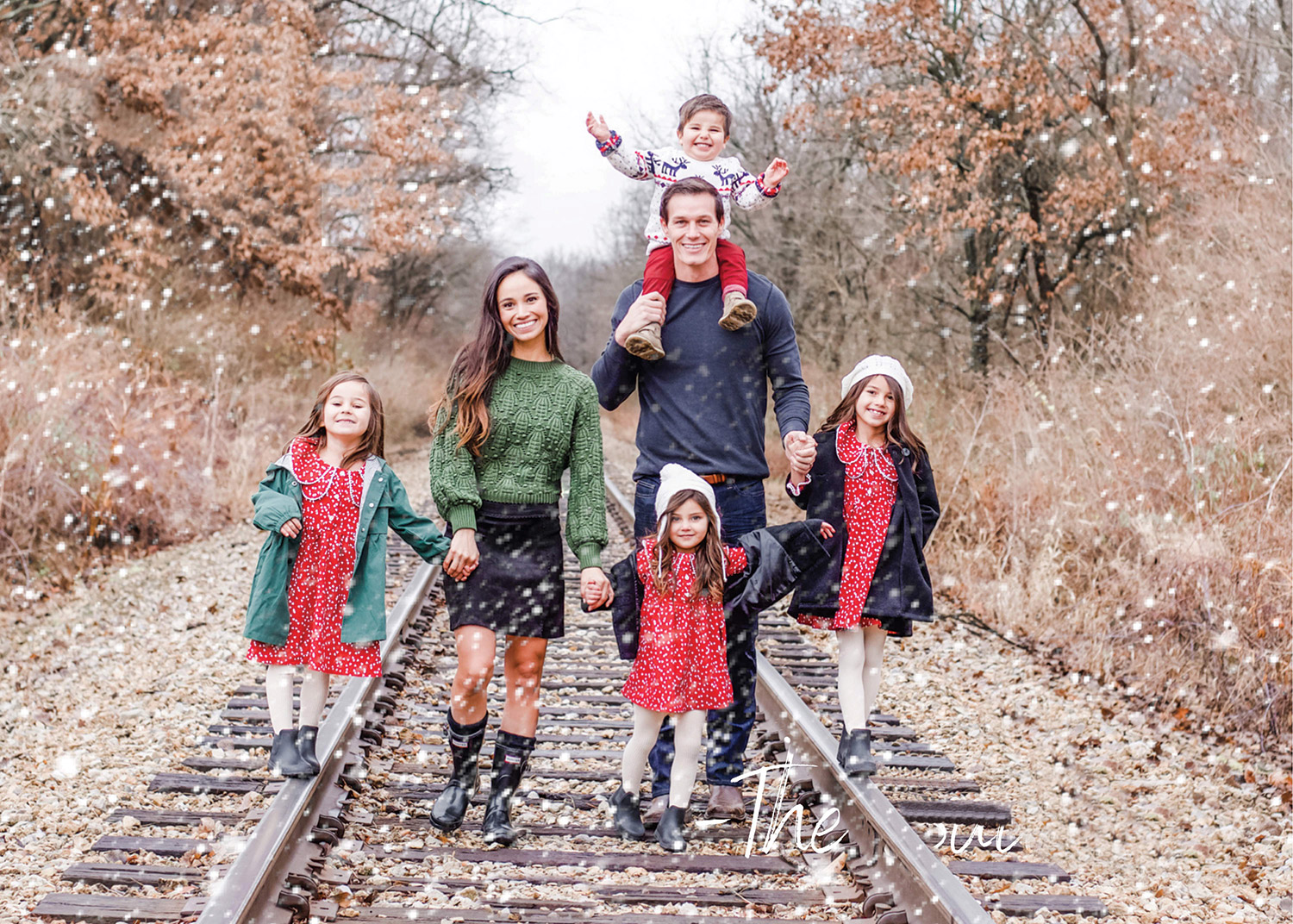 sullivans family xmas card